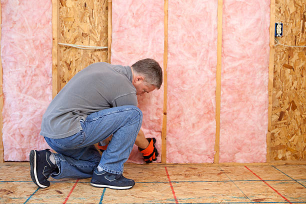 Professional Insulation Contractor in Huntington, WV